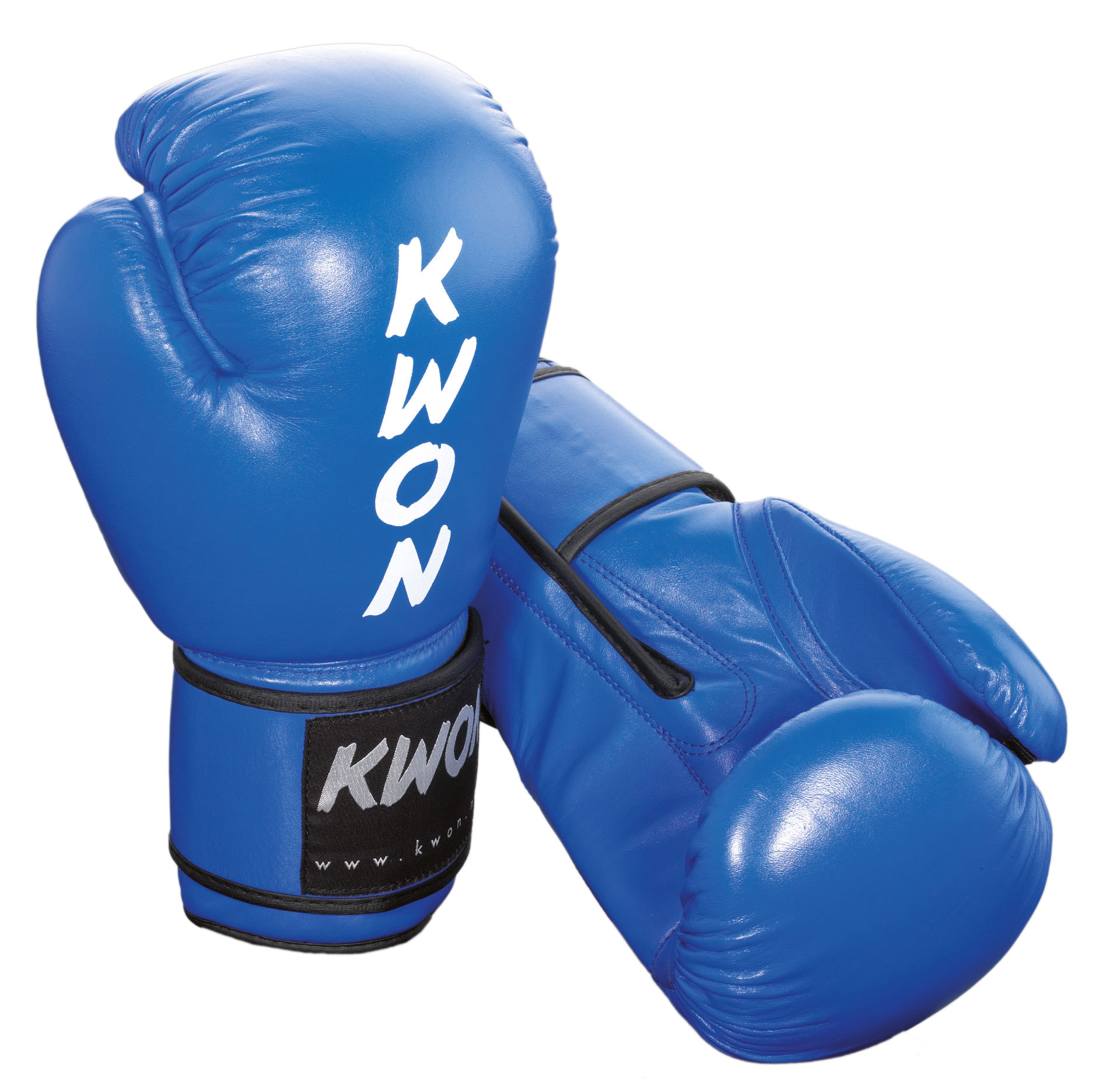 Boxhandschuhe Ergo Champ