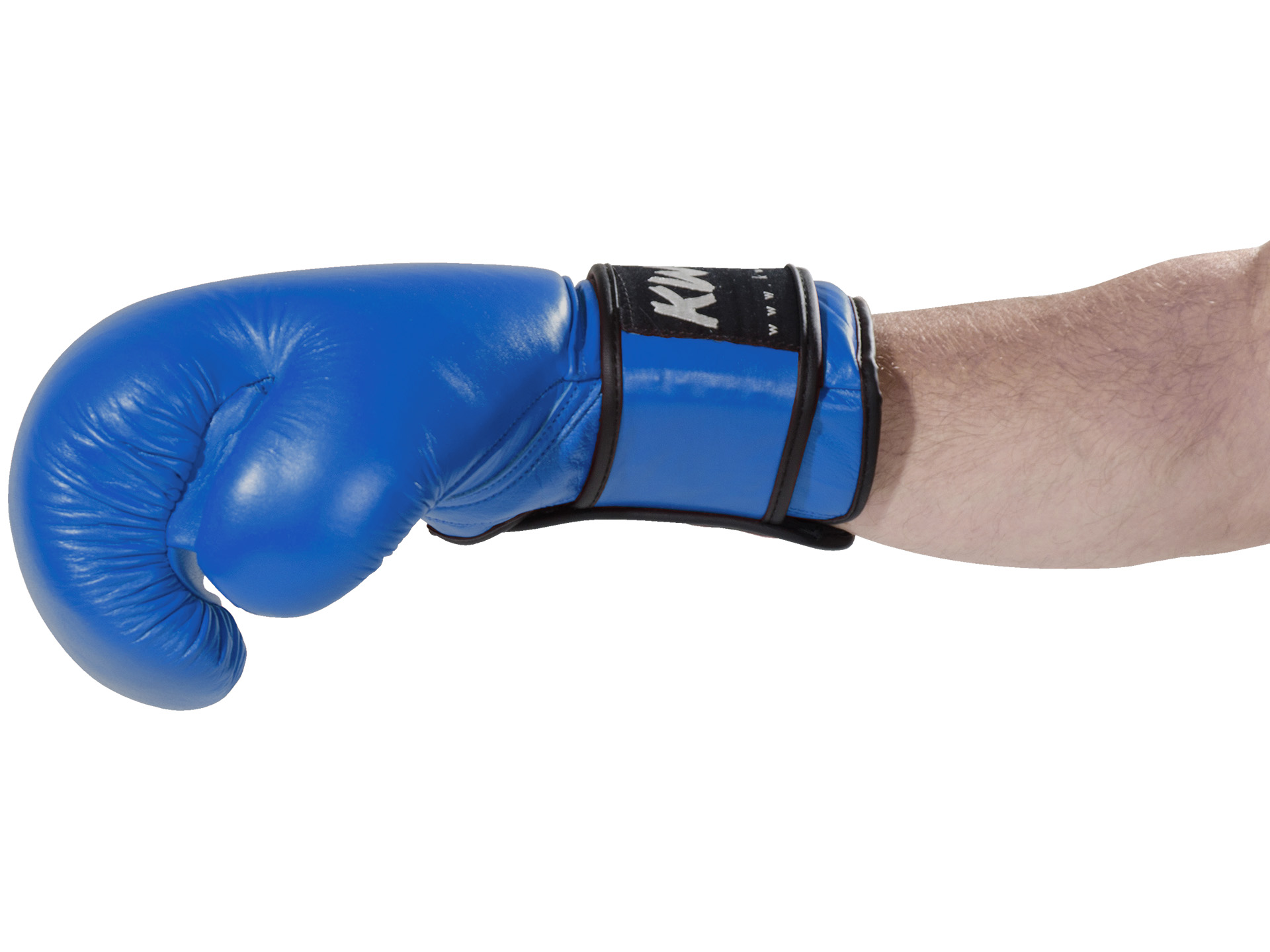 Boxhandschuhe Ergo Champ